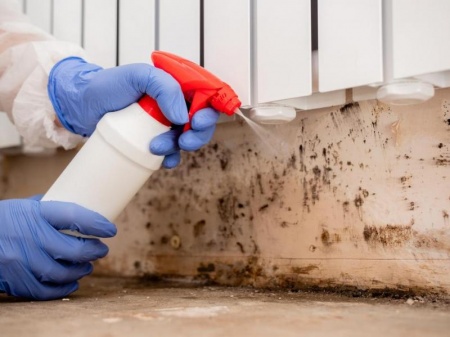 Probl&egrave;mes d'humidit&eacute; &agrave; Vend&ocirc;me, comment une bonne ventilation prot&egrave;ge votre habitat ?